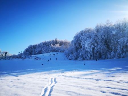 Velika nagrada Mirne 2024, foto Pep (1)